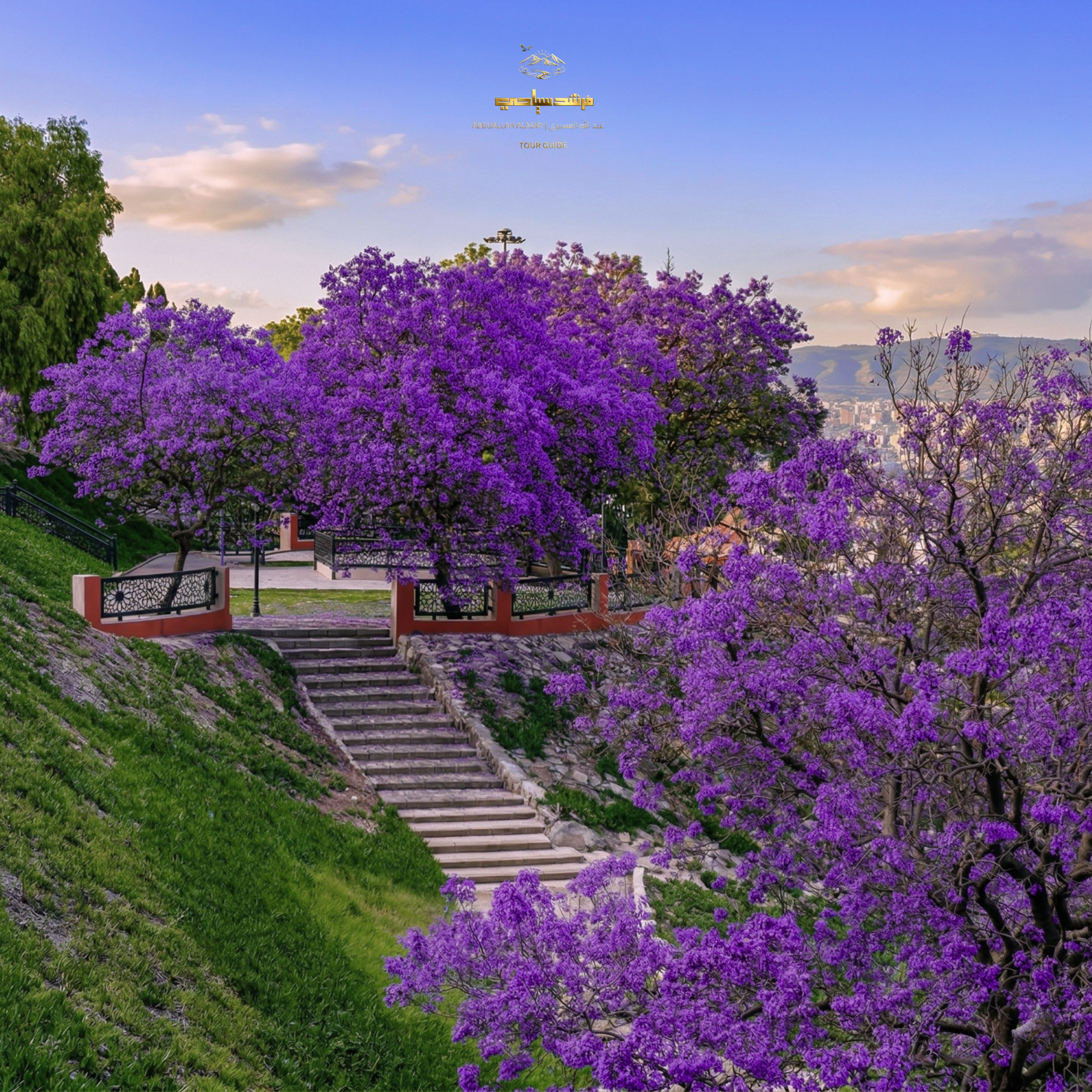 حديقة الخيال