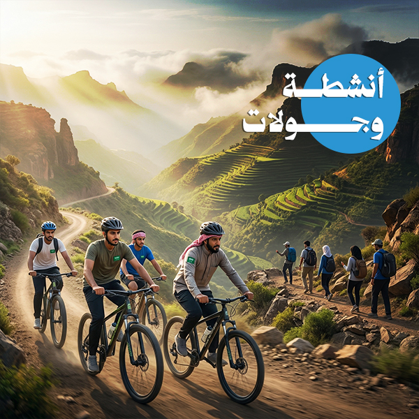 أنشطة وجولات